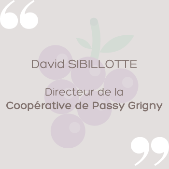 David SIBILOTTE - Directeur de la coopérative viticole Passy-Grigny